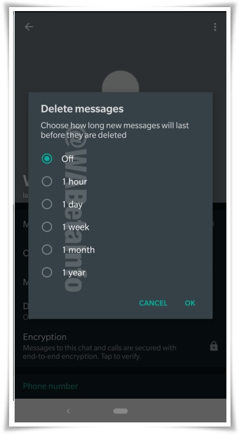 [Extra Quality] WhatsApp Otomatik Cevap Nas L Gonderilir whatsapp-otomatik-mesaj-silme-ozelligi